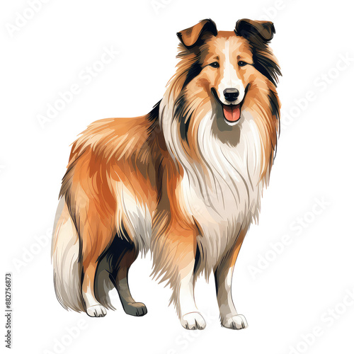 Illustration of Collie Dog, Herding Dog in a white background
