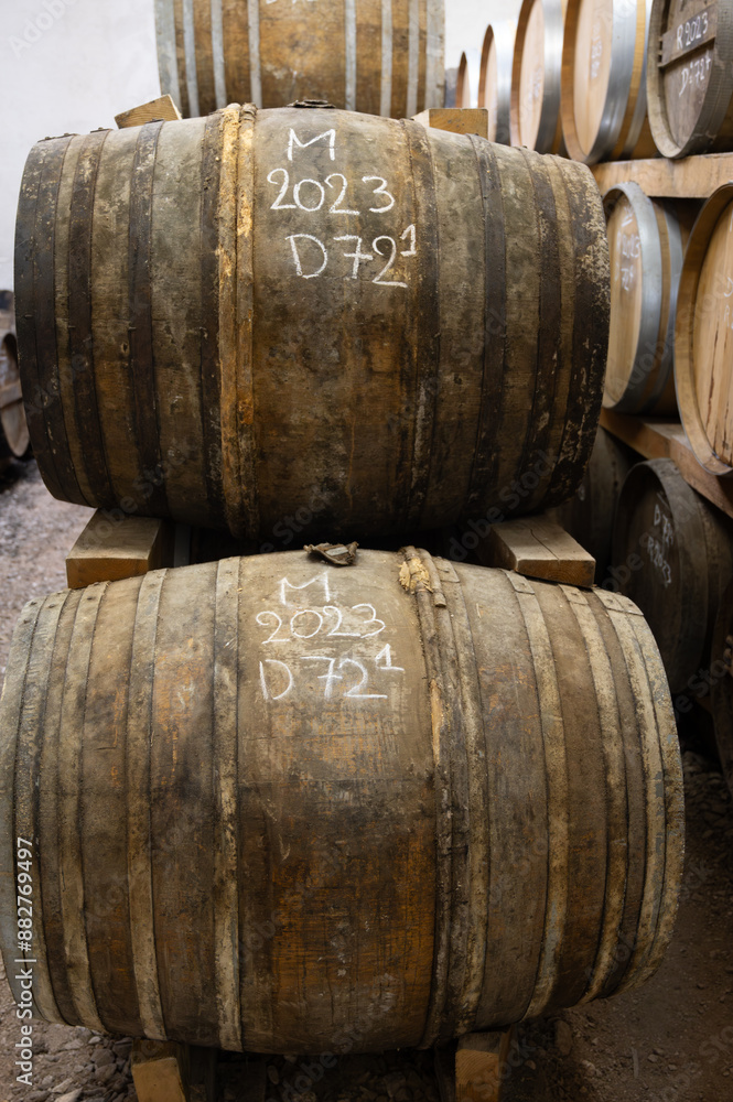 Aging process of cognac spirit in old dark French oak barrels in cellar in distillery house, Cognac white wine region, Charente, Segonzac, Grand Champagne, France Aging process of cognac spirit in old dark French oak barrels in cellar in distillery house, Cognac white wine region, Charente, Segonzac, Grand Champagne, France
