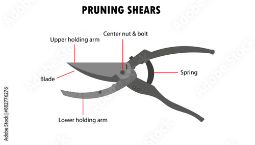 Pruning shears showing parts of the tool