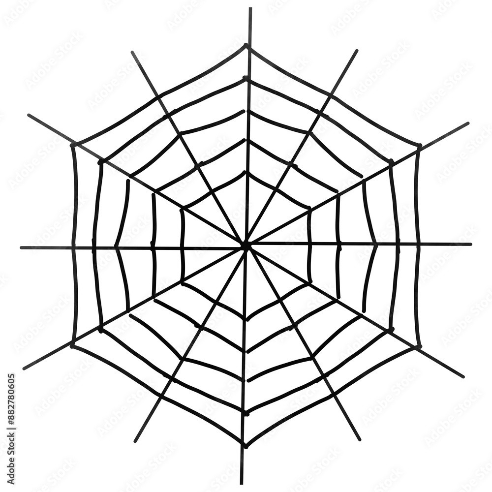 Obraz premium spider web