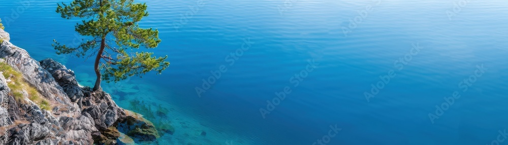 Serene coastal view with a solitary pine tree perched on a rocky cliff above a clear, blue ocean. Perfect for nature and landscape photography. Serene coastal view with a solitary pine tree perched on a rocky cliff above a clear, blue ocean. Perfect for nature and landscape photography.