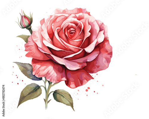 Whimsical Watercolor Round Splatter Lily Rose Graphic vector