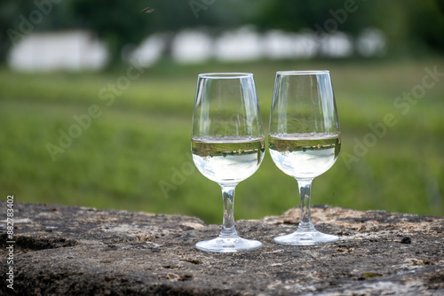 Glasses of white wine in old wine domain on Sauternes vineyards in Barsac village and old castle on background, Bordeaux, France photo