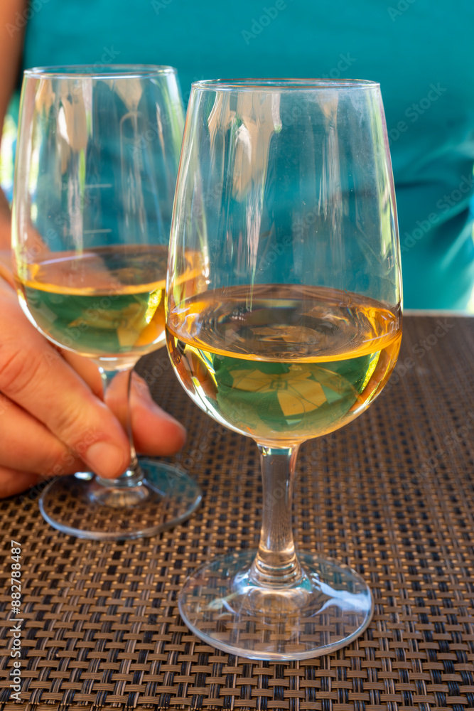 Obraz premium Tasting of Bordeaux white wine in Sauternes, left bank of Gironde Estuary, France. Glasses of white sweet French wine served in restaurant