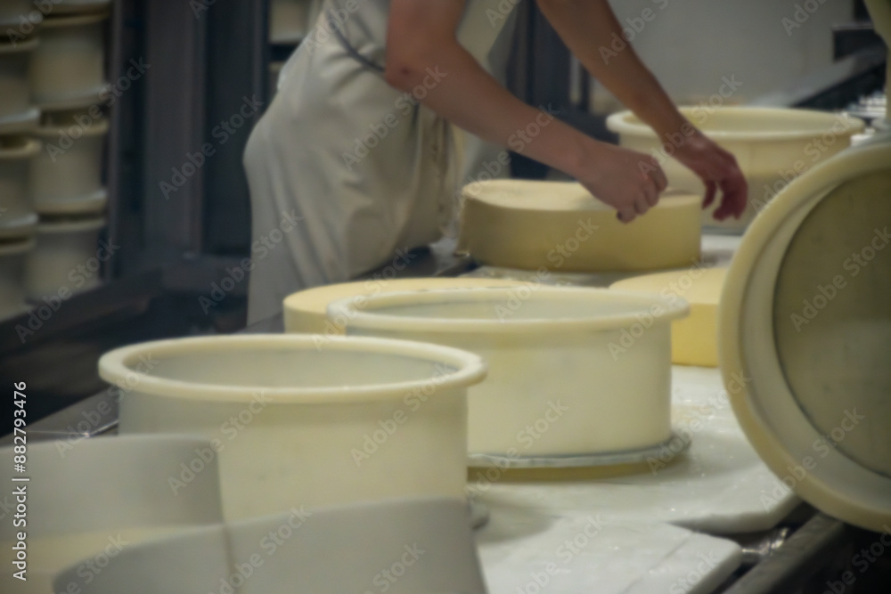 Fruitiere french cheese production farm, morning works making of wheels, rounds of Comte cheese from raw cow milk, Franche-Comte, Jura, France Fruitiere french cheese production farm, morning works making of wheels, rounds of Comte cheese from raw cow milk, Franche-Comte, Jura, France