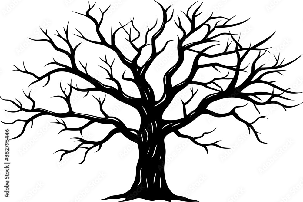 Fototapeta premium Dead Tree Silhouette Vector, Silhouette of a leafless tree, branches. Vector illustration