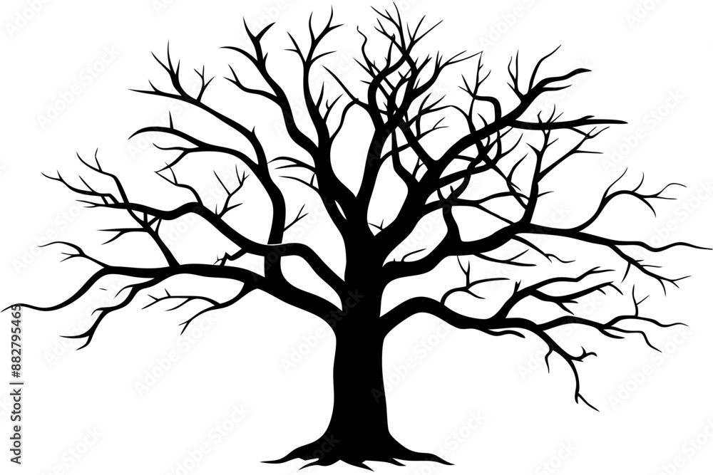 Fototapeta premium Dead Tree Silhouette Vector, Silhouette of a leafless tree, branches. Vector illustration