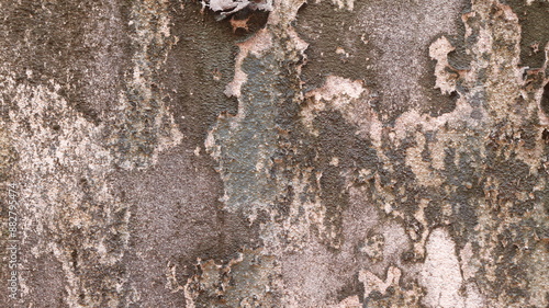 concrete wall texture