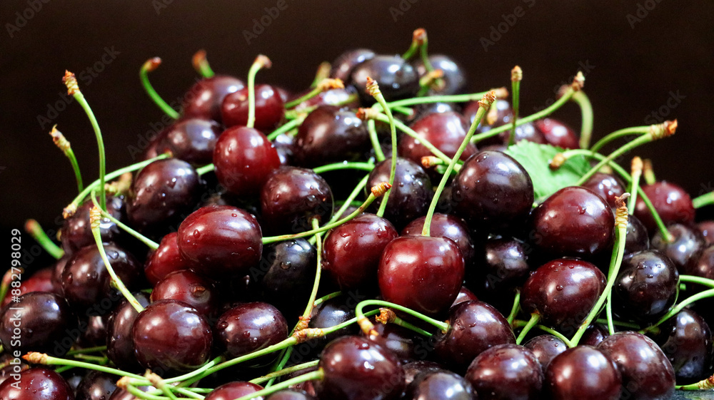 Cherries close-up, fresh and splashed with water Cherries close-up, fresh and splashed with water