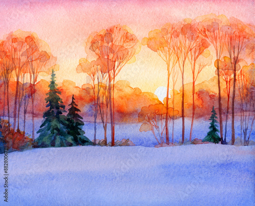 Trees in the winter forest. Watercolor landscape photo