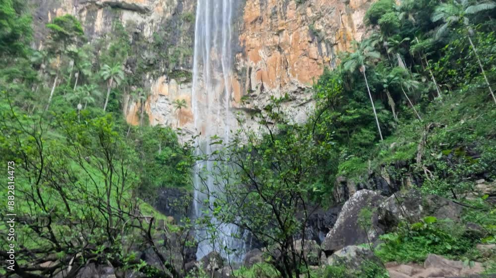 Waterfall in Springbrook Forest Waterfall in Springbrook Forest