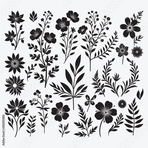 Hand Drawn Floral Ornaments and Decoration Elements Collection