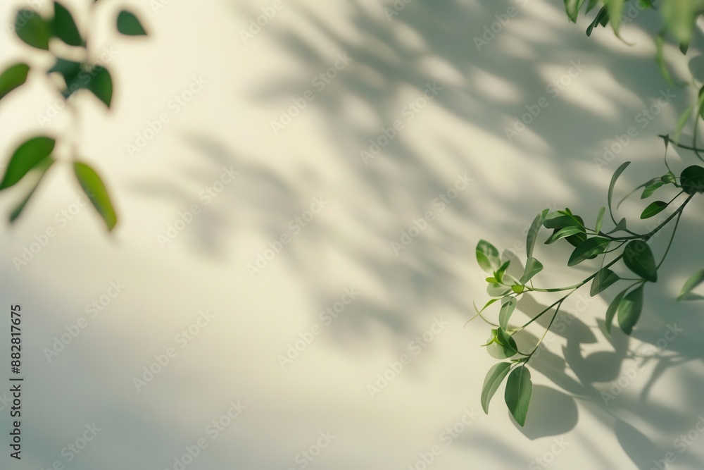 Sunlit green leaves casting soft shadows on a light wall, creating a serene and natural atmosphere. Sunlit green leaves casting soft shadows on a light wall, creating a serene and natural atmosphere.