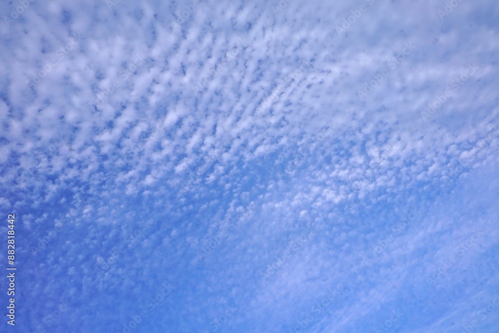 Obraz premium 青空と小さな雲