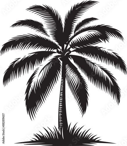 Coconut tree silhouette vector illustration