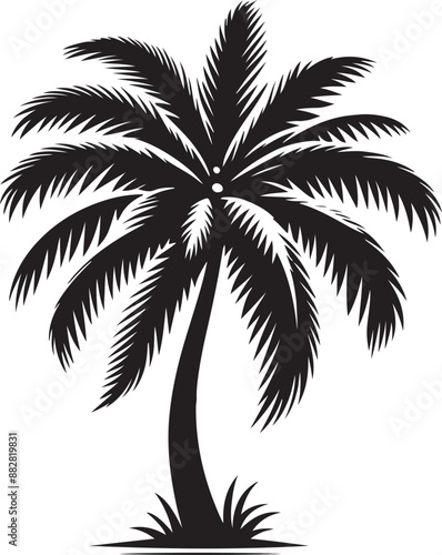 Coconut tree silhouette vector illustration