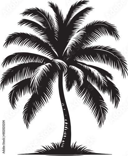 Coconut tree silhouette vector illustration