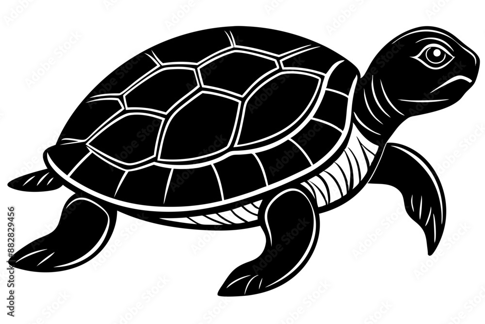 Turtle marine animal icon. Sea turtle silhouette. vector illustration
Turtle marine animal icon. Sea turtle silhouette. vector illustration