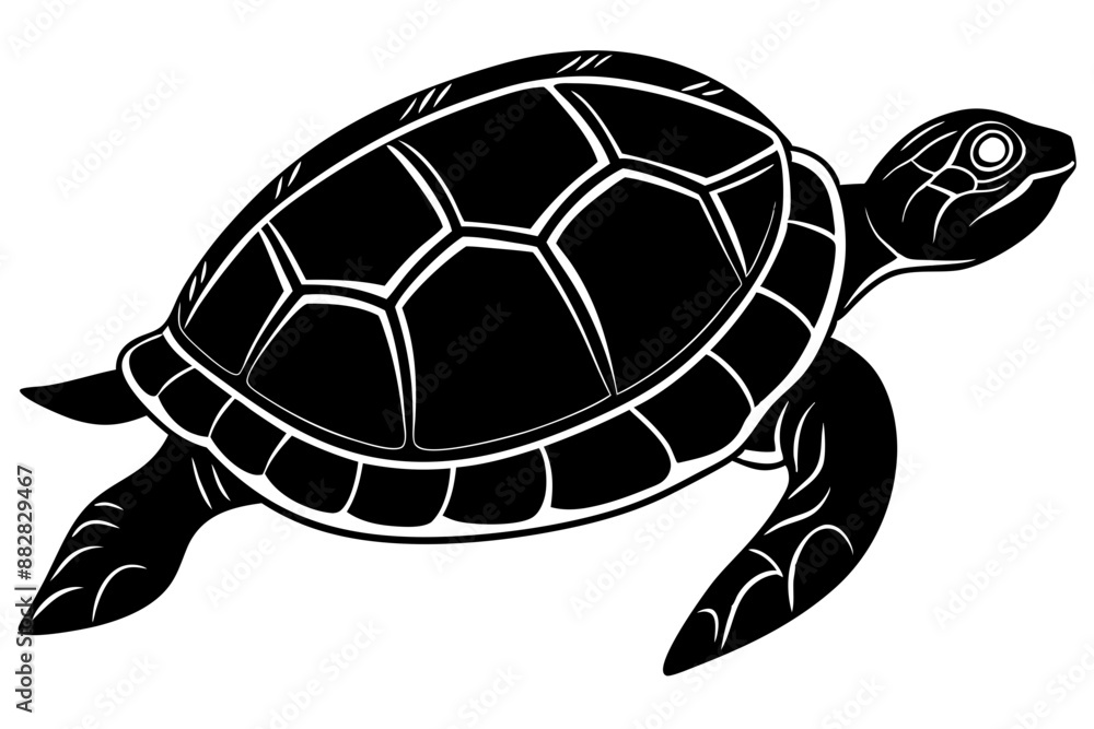 Turtle marine animal icon. Sea turtle silhouette. vector illustration
Turtle marine animal icon. Sea turtle silhouette. vector illustration