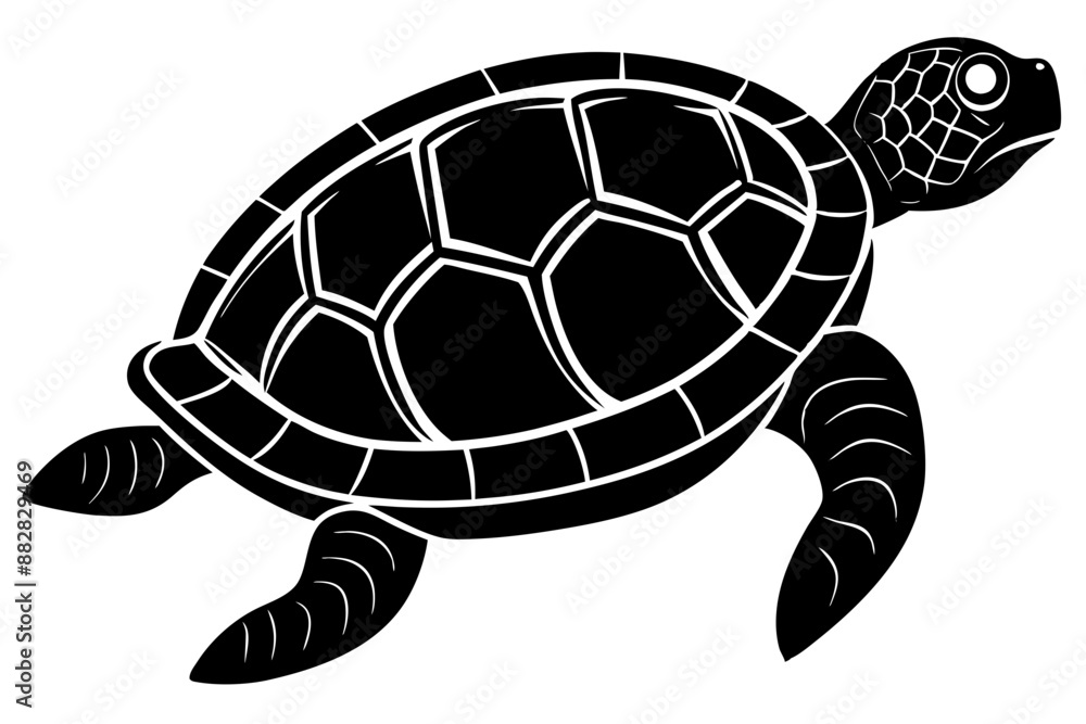 Turtle marine animal icon. Sea turtle silhouette. vector illustration
Turtle marine animal icon. Sea turtle silhouette. vector illustration
