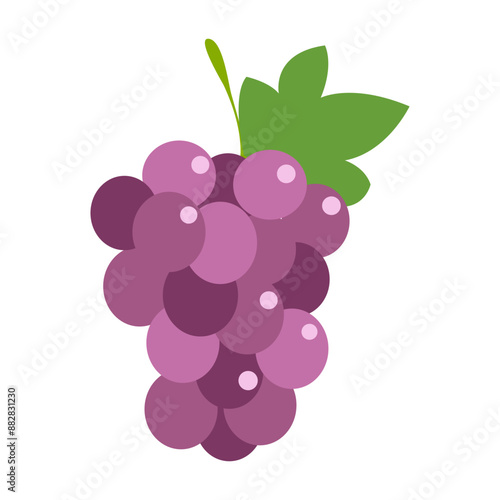 Grapes icon. Bunch of purple grapes with stem and leaf. Vector illustration isolated on white background.