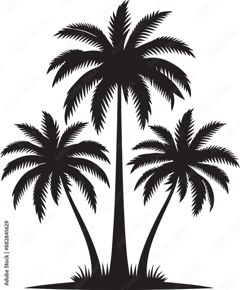 Fototapeta premium Palm tree silhouette isolated on white background