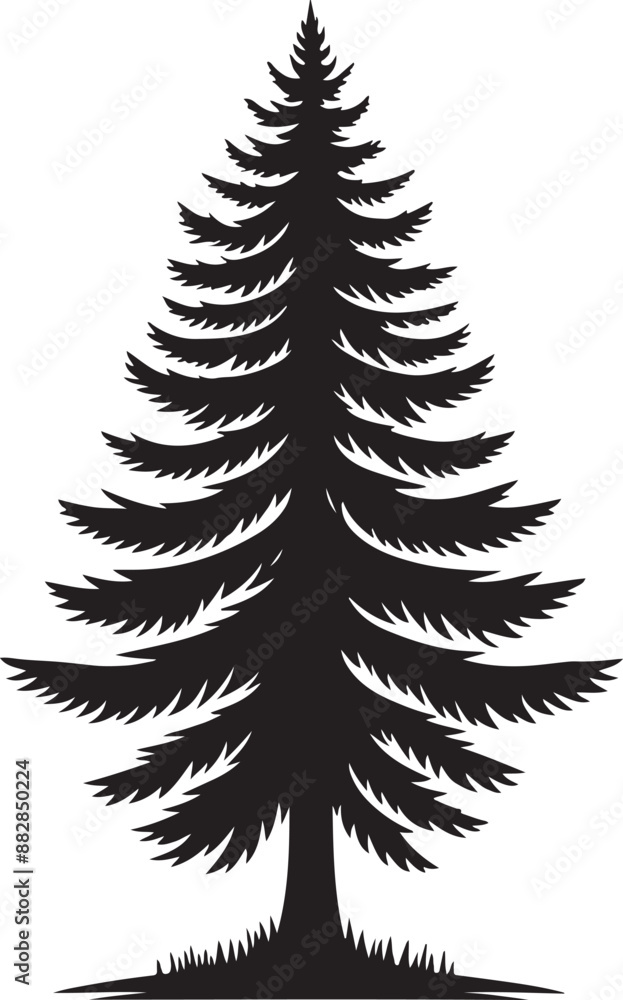 Pine tree silhouette vector illustration Pine tree silhouette vector illustration