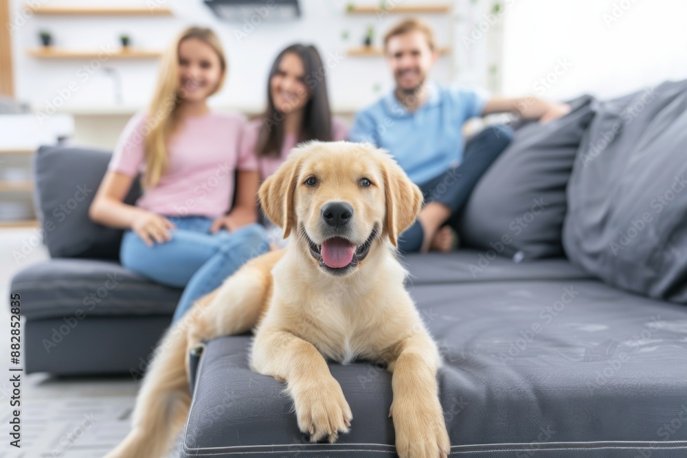 A golden retriever puppy rests on a gray couch, looking directly at the camera with a playful expression. Two young women and a man sit in the background, relaxed and smiling. A golden retriever puppy rests on a gray couch, looking directly at the camera with a playful expression. Two young women and a man sit in the background, relaxed and smiling.