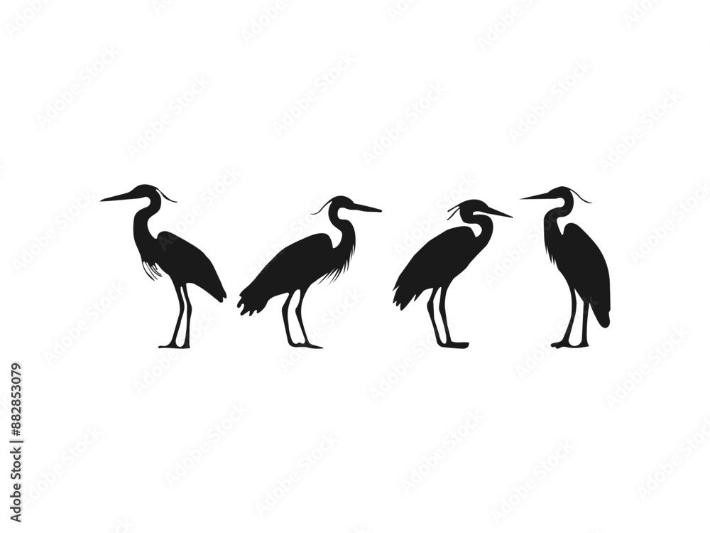 Obraz premium heron silhouette.