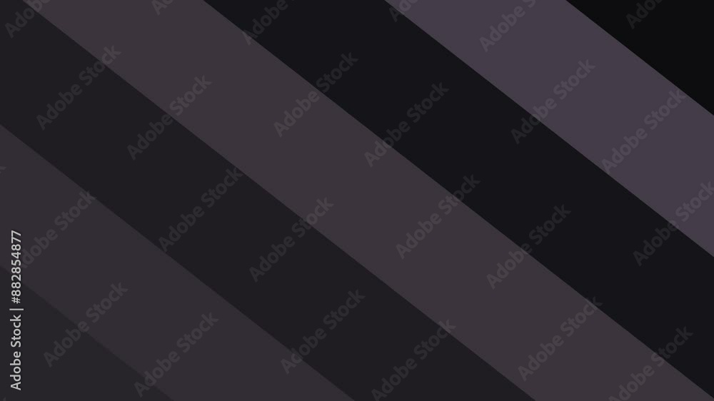 black and white background black and white background