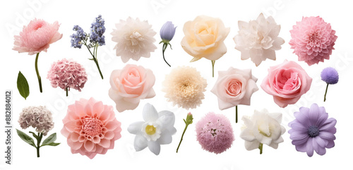 色々な種類のお花の切り抜き素材セット/くすみカラー