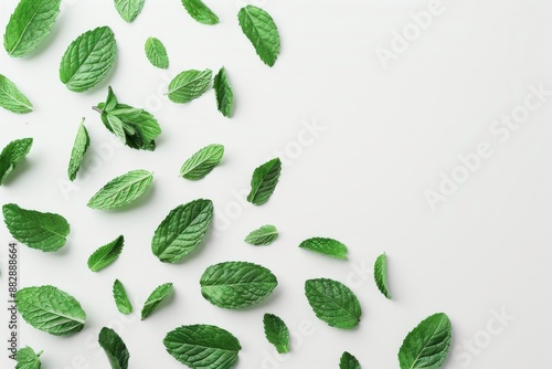 Mint Leaves, White Background, 