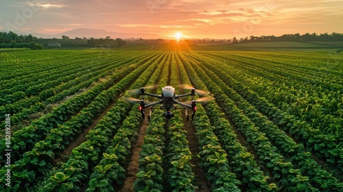 Drone Flying Over Green Field at Sunset