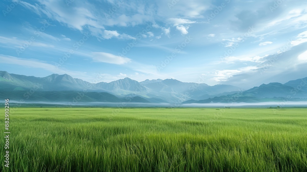 Fototapeta premium A vast, open field with a clear blue sky and mountains in the background