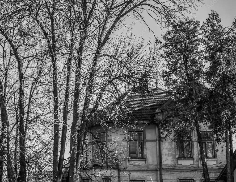 Obraz premium City Architecture - Europe, Romania, Suceava region, , Radauti city