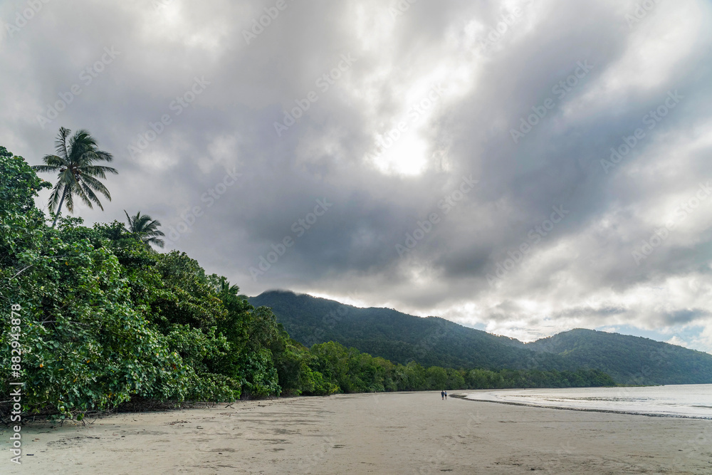 Picturesque tropical coastal sandy Kulki Beach in Daintree rainforest with mangrove trees, Queensland, Australia. Kulki Beach is situated nearby Cape Tribulation on Coral Sea.