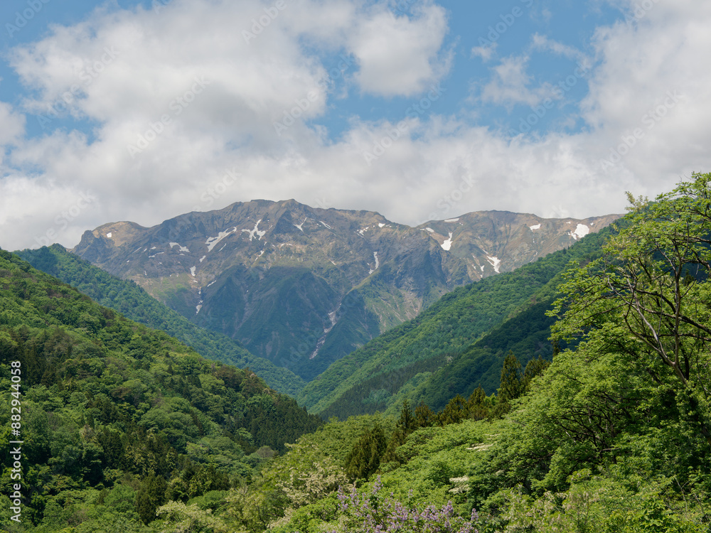 Fototapeta premium 恋沢ガーデンから見た初夏の谷川岳