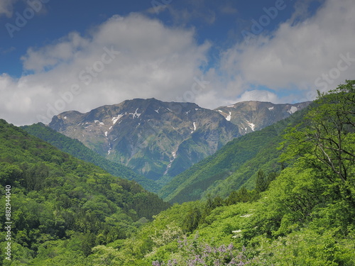 Wallpaper Mural 恋沢ガーデンから見た初夏の谷川岳 Torontodigital.ca