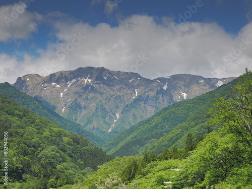 Wallpaper Mural 恋沢ガーデンから見た初夏の谷川岳 Torontodigital.ca