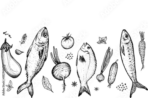 Horizontal border of spices, vegetables and fishes drawing on white background. Vector food illustration. Sketch illustration of fish and vegetables for restaurant decoration.