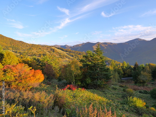 Wallpaper Mural 長野県　高山村　山田牧場付近の紅葉 Torontodigital.ca