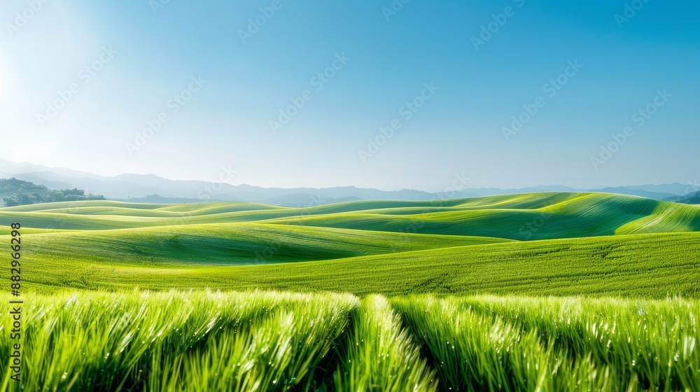 Fototapeta premium A stunning landscape of rolling green hills under a clear blue sky, showcasing the beauty of nature and the tranquility of rural scenery.