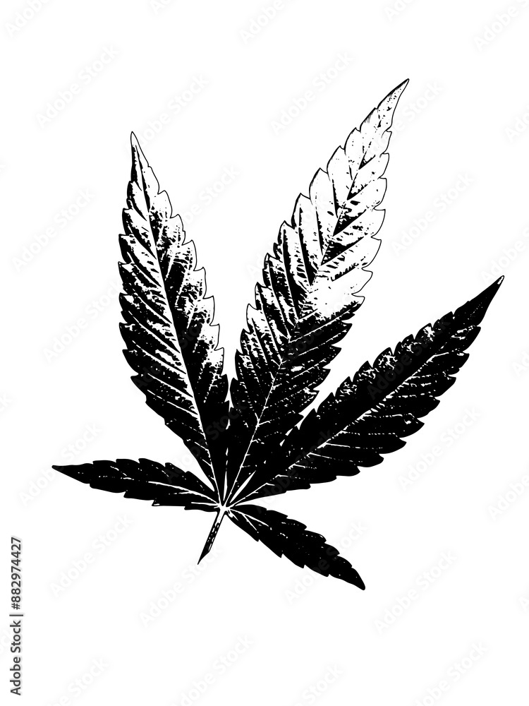 Cannabis Blatt - Hanf Cannabis Blatt - Hanf