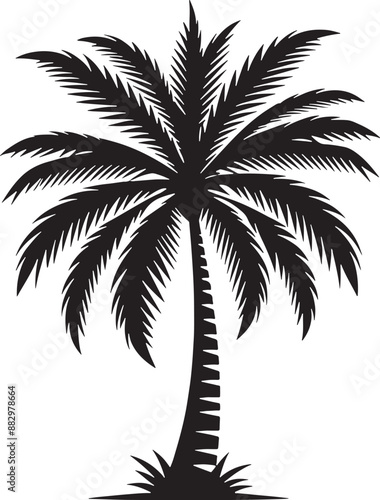 Palm tree silhouette vector illustration design ©  designermdali