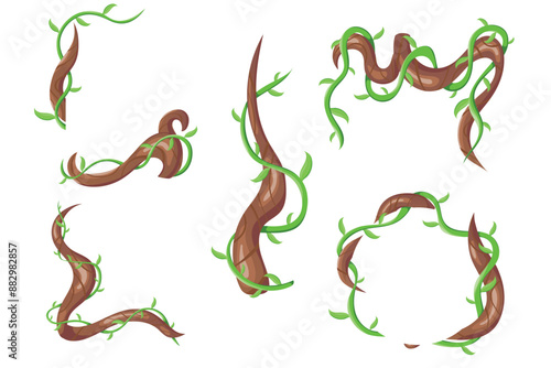 Vector plant creeper cartoon set. Green vine. Tree foliage. Rainforest liana. Cartoon plants. Creeper branch. Jungle liana creeping vines with leaves formed in rectangle and circle frames