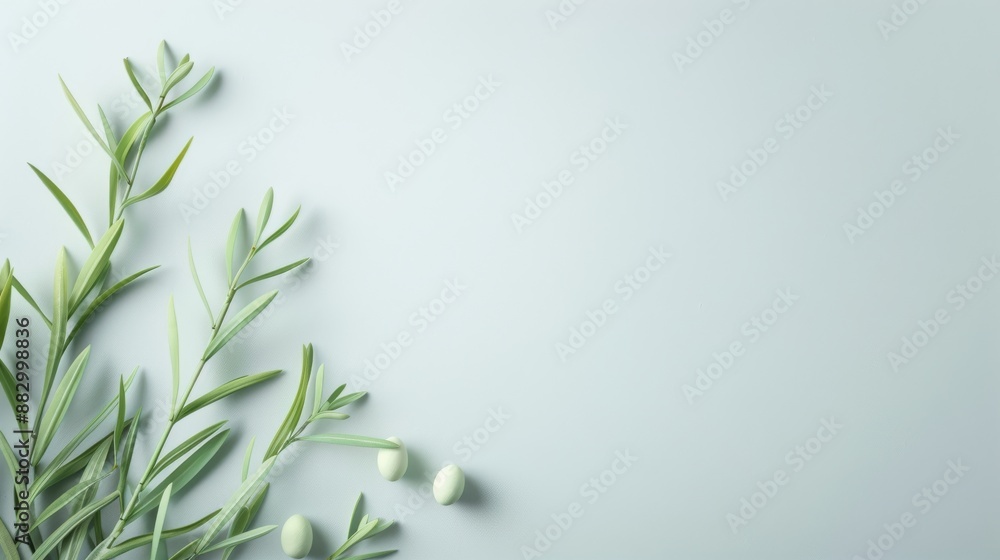 Minimalistic flat lay of green botanical branches and berries on a pastel background. Ideal for natural and serene aesthetics.
