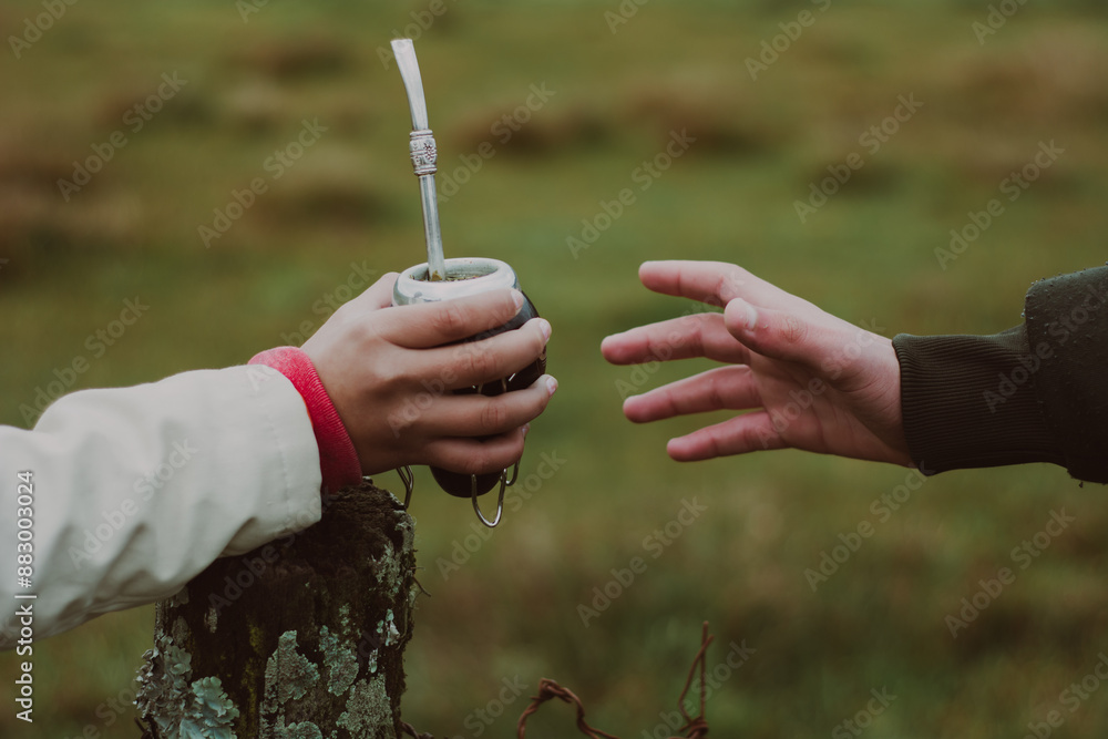 Mano compartiendo mate con yerba mate en el campo Mano compartiendo mate con yerba mate en el campo