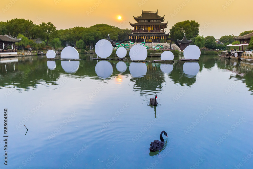 Swans in the lake at the pavillion in Panmen scenic area in Suzhou, China