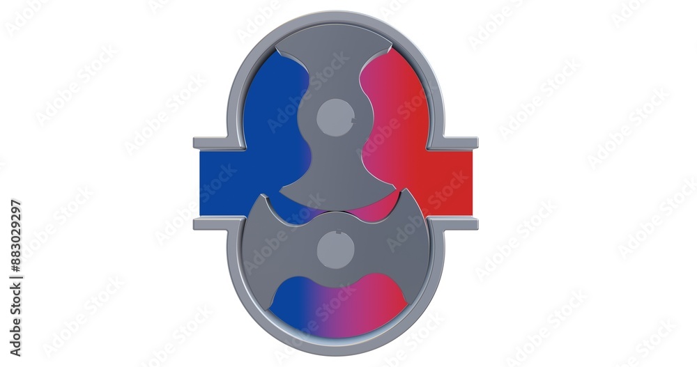 Bi-wing rotors of a positive displacement pump Bi-wing rotors of a positive displacement pump