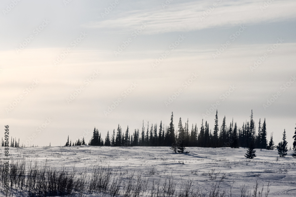 Republic of Komi tundra landscape. Coal, gas, oil and Gulag prison camps are located on this land Republic of Komi tundra landscape. Coal, gas, oil and Gulag prison camps are located on this land